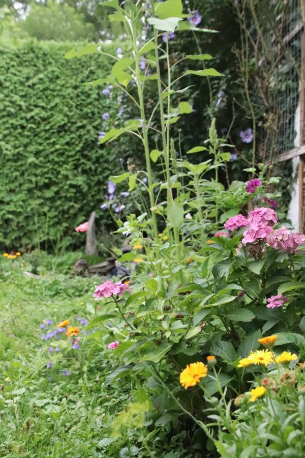 Hostel Bad Salzig 보파르트 외부 사진