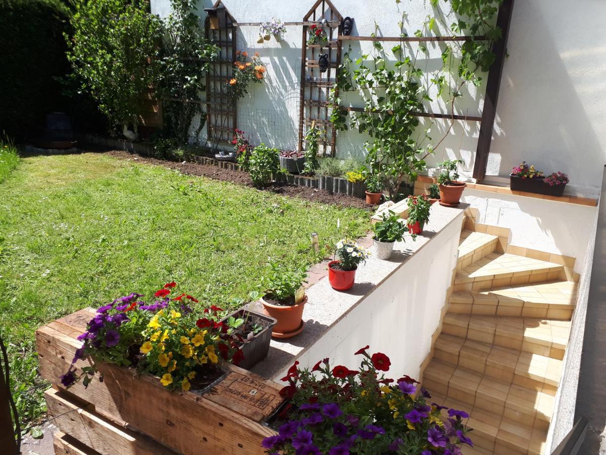 Hostel Bad Salzig 보파르트 외부 사진